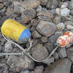 GirlsWildCat 060 : GirlsWildCat